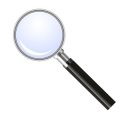 AMPページと通常ページ間のCanonical・Alternate設定のポイント