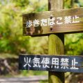 日本のローカルSEOで実際に成果をあげた不動産会社の成功ストーリー