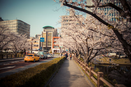 日本の大規模サイトにおけるディレクトリ単位でのクロール管理方法