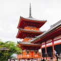 日本独自のリンク構造を意識した被リンク分析テクニックと実践例